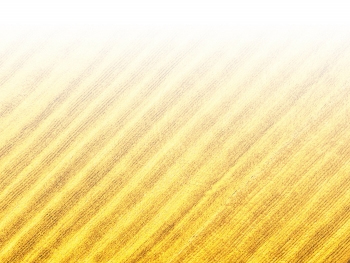 智能農機、“訂單”服務、“云端”種菜——來自江西的春耕“新事”
